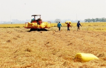 Low interest loan programme launched for high-quality rice cultivation