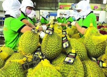 Fruit and vegetable exports expects to hit US$ 6 billion