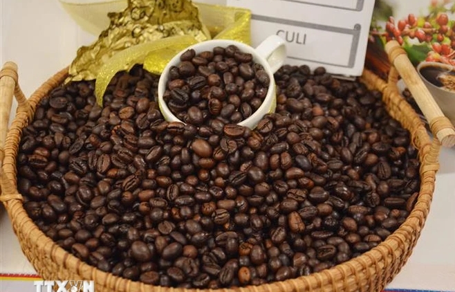 Vietnam’s coffee exports exceed 5 billion USD in 2023-2024 crop year