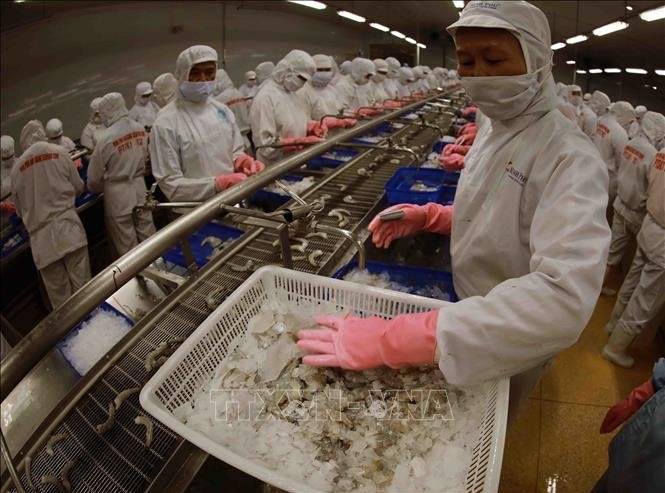 Vietnam needs to diversify supply chains for sustainable growth: economists