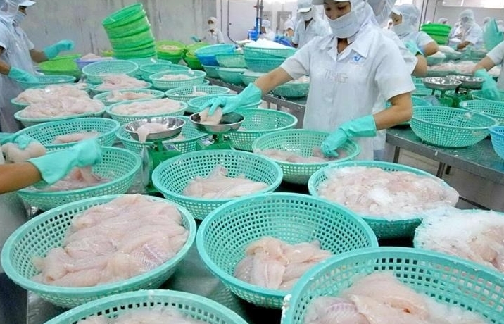 Positive outlook for pangasius exports in the final months of the year