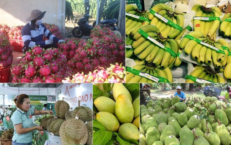 Vietnam’s agro-forestry-aquatic product exports likely to set new record