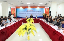 quang ninh customs seeks solutions to promote import and export