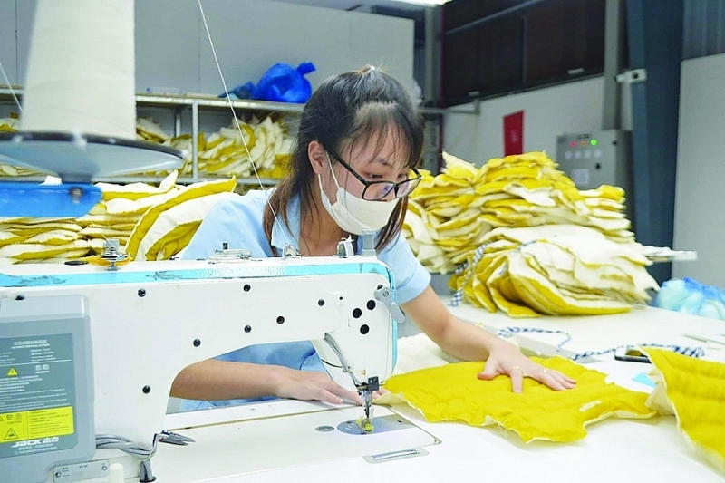   Textiles and footwear are currently under pressure from the need to “green” the supply chain. Photo: N.T