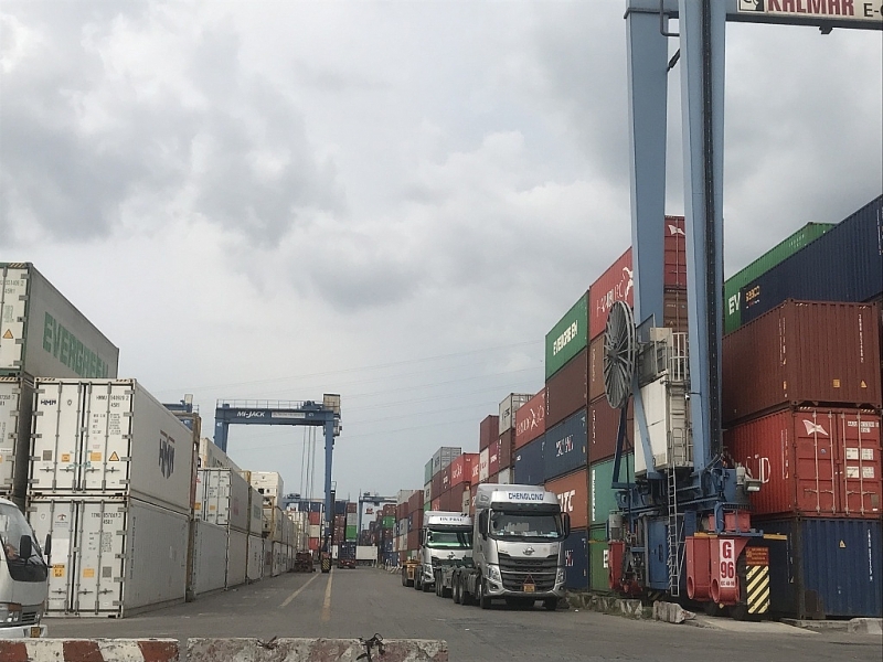 Ho Chi Minh City Port is holding a large amount of meat and bone powder and imported animal feed. Photo: T.H