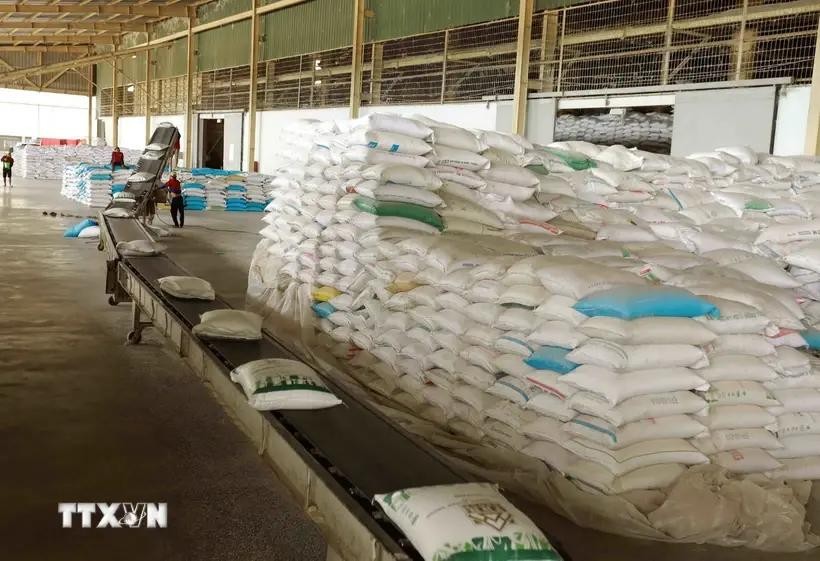 Rice packaging for export (Photo: VNA)