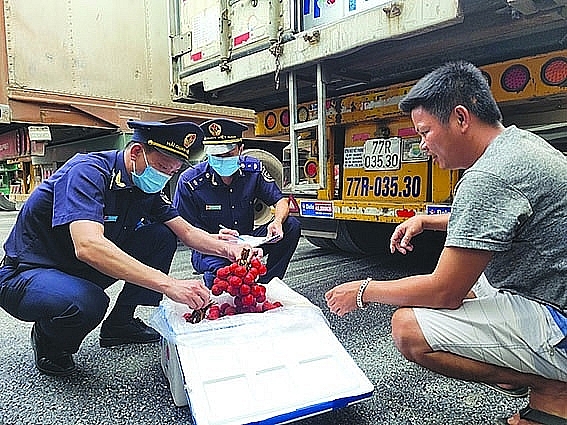 Tan Thanh Customs officers (Lang Son Customs Department) guide enterprises in packaging lychee for export. Photo: H.Nu