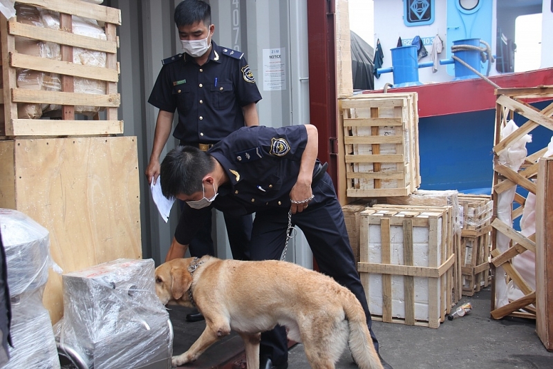 Saigon Port area 4 Customs officers conducted control activities. Photo: T.H