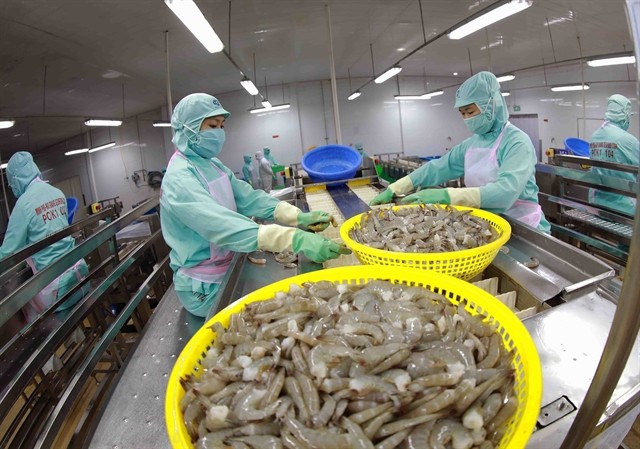 Shrimp processing line at the factory of Minh Phu Seafood Corporation (Photo: VNA)