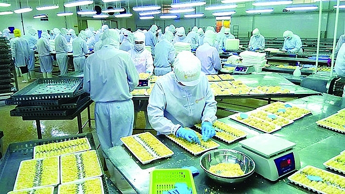 Vietnamese enterprises are leading in deep processing of shrimp exports. Source: Internet.