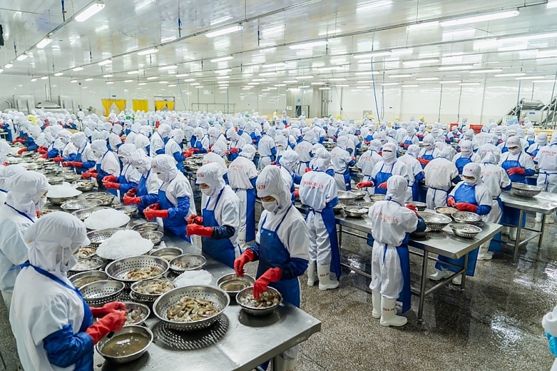 Seafood export enterprises need to know the process of issuing and legalizing C/O. Photo: L.T