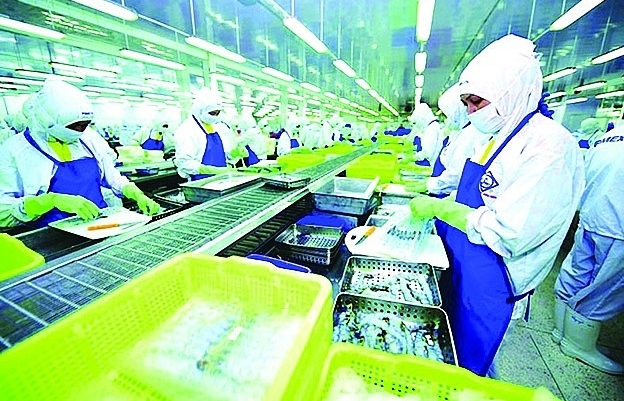 Seafood exports increase competitiveness through quality