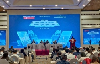 Vietnam needs a competitive energy market: experts