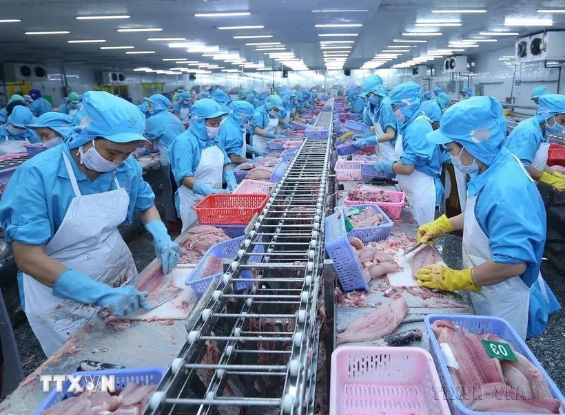 seafood processing in Vietnam