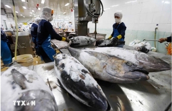 Vietnam’s tuna exports gain larger market shares in key markets