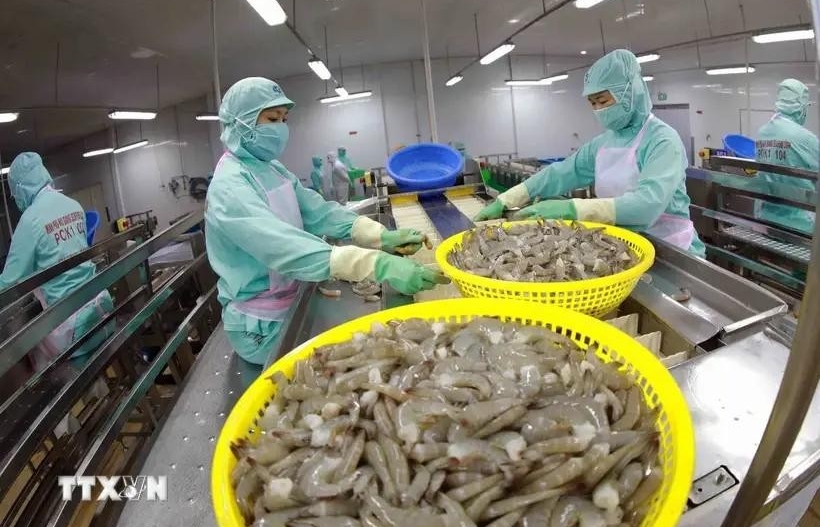 Shrimp exports expected to hit 4 billion USD in 2024