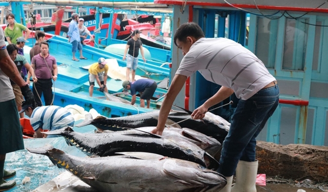 UKVFTA facilitates Việt Nam's tuna exports to UK market