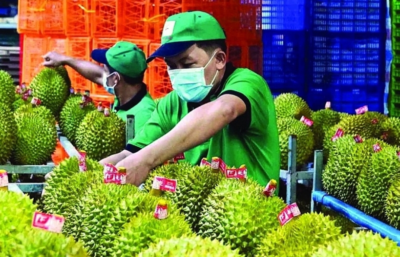 Paving the way for Vietnamese agricultural products in China