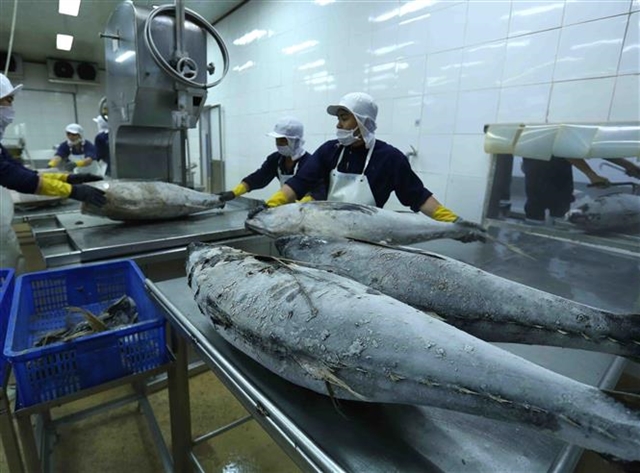 Seafood exports expected to exceed $10 billion in 2025: expert