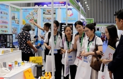 viet nam boosts supporting industries with development programmes