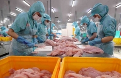 vn seafood export surpass 2024 goal of 10 billion