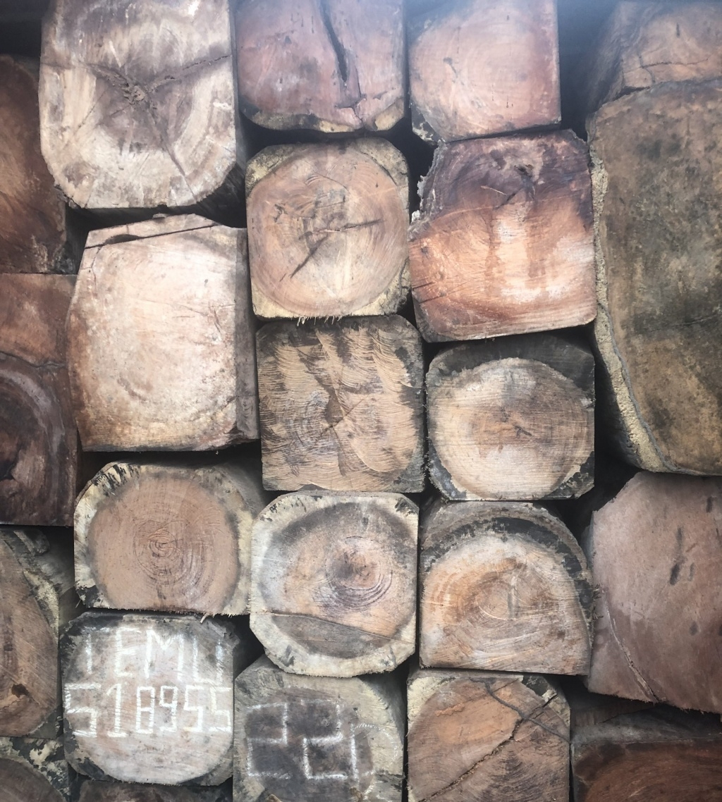 Hai Phong Customs busts illegal import of 600 m3 of precious wood