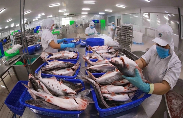 Vietnamese catfish exports to hit $2 billion mark this year