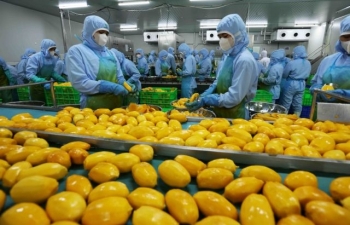 Fruit and vegetable industry aims for $10 billion in exports by 2030