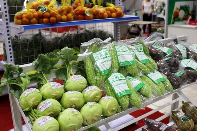 Brand building key to elevate Vietnamese fruit and vegetable sector: experts