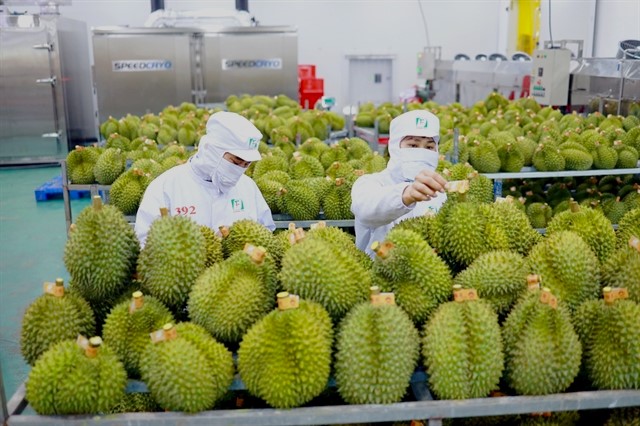 Việt Nam tightens fruit inspections after warning from China