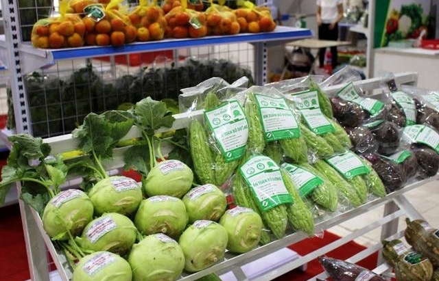 Brand building key to elevate Vietnamese fruit and vegetable sector: experts