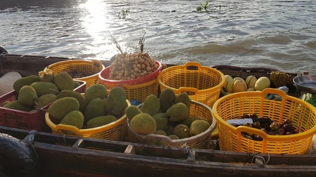 Kom Tum cracks down on durian, jackfruit quality control violations