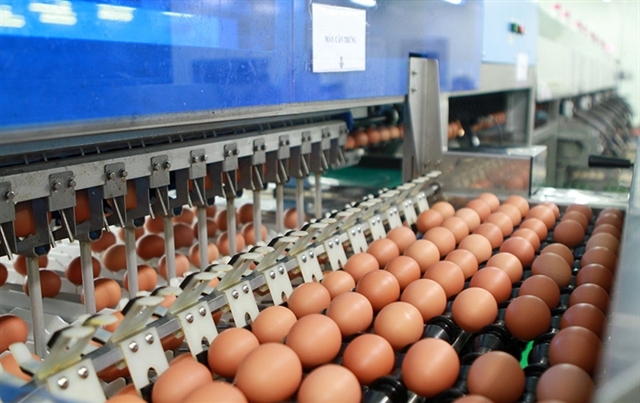 Việt Nam sets import tariff quotas for salt and poultry eggs in 2025