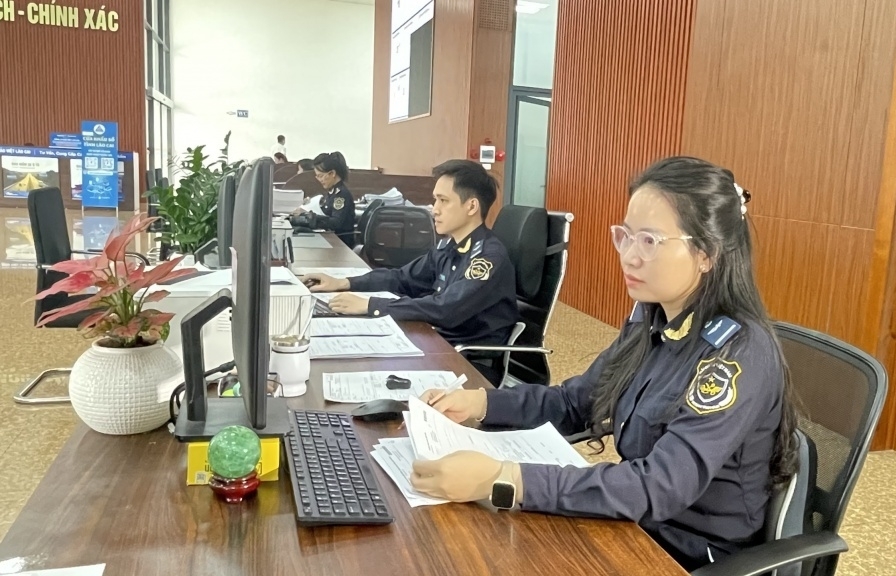 Vietnam Customs forms implementation task force on developing customs procedures