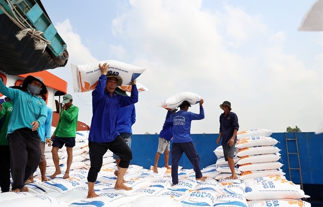 Rice export prices drop, but decline expected to be short-term