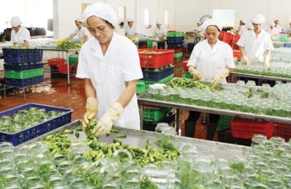 production in the value chain development trend of agricultural enterprises