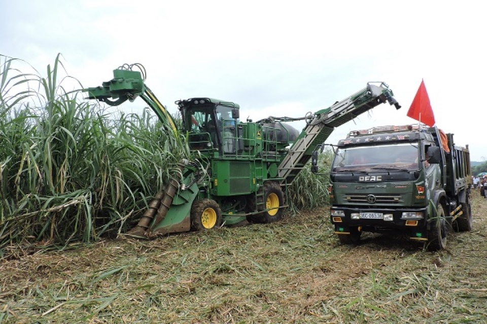 high inventory the sugar industry is in trouble