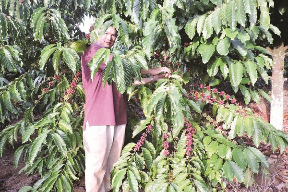 coffee export handshake to overcome difficulties