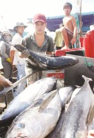 reason for export seafood returns