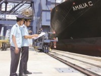 Logistics development and the role of the Customs