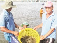 Seafood export is full of difficulties, but it is still achieving good growth