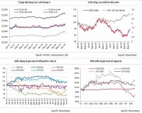 Fluctuations on the currency field