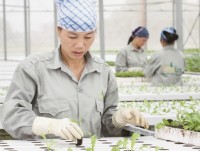 Breakthrough technology to "position" Vietnamese agricultural products