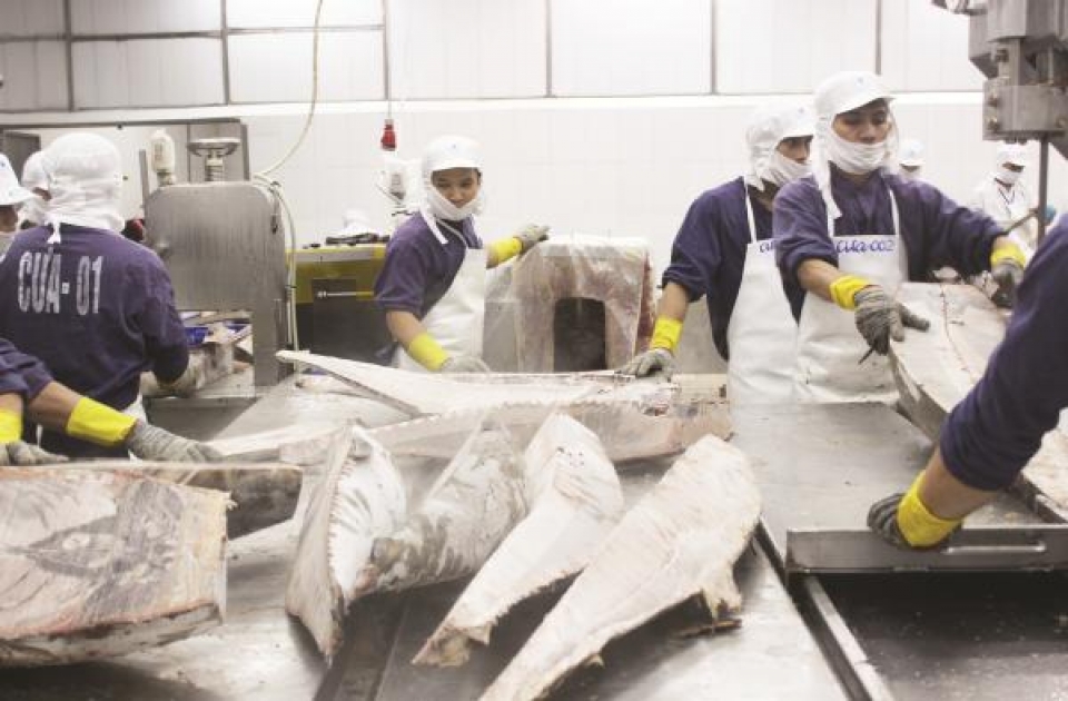 to build a safe raw material area towards the sustainable seafood export