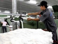 Re-export of more than 298 tons of cotton infected with pests
