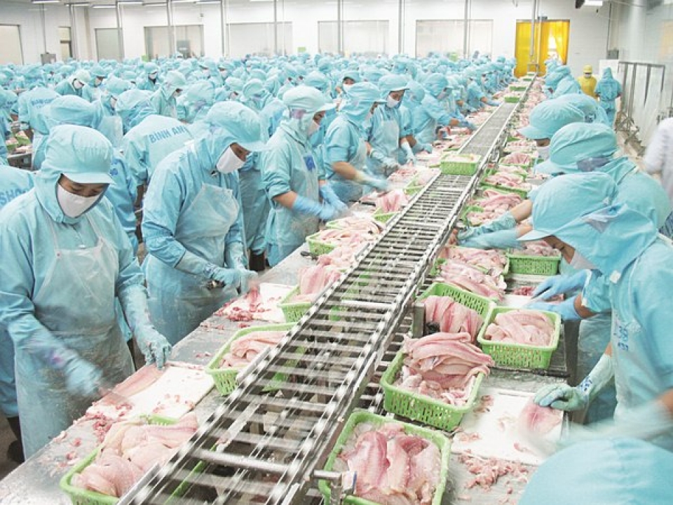 pangasius export to be stable it must be exported in official method
