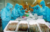 The advantage for seafoodto export into EAEU