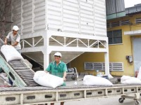 glutinous rice exports sharply increases