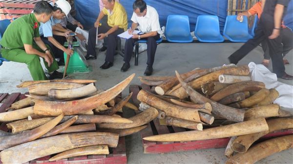 why are ivory smuggling suspended