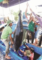 seafood businesses committed to combating iuu fishing
